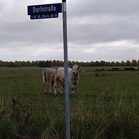 Moderne Barrierefreie Wohnung Auf Dem Land Bei Neuruppin Lichtenberg  Dış mekan fotoğraf