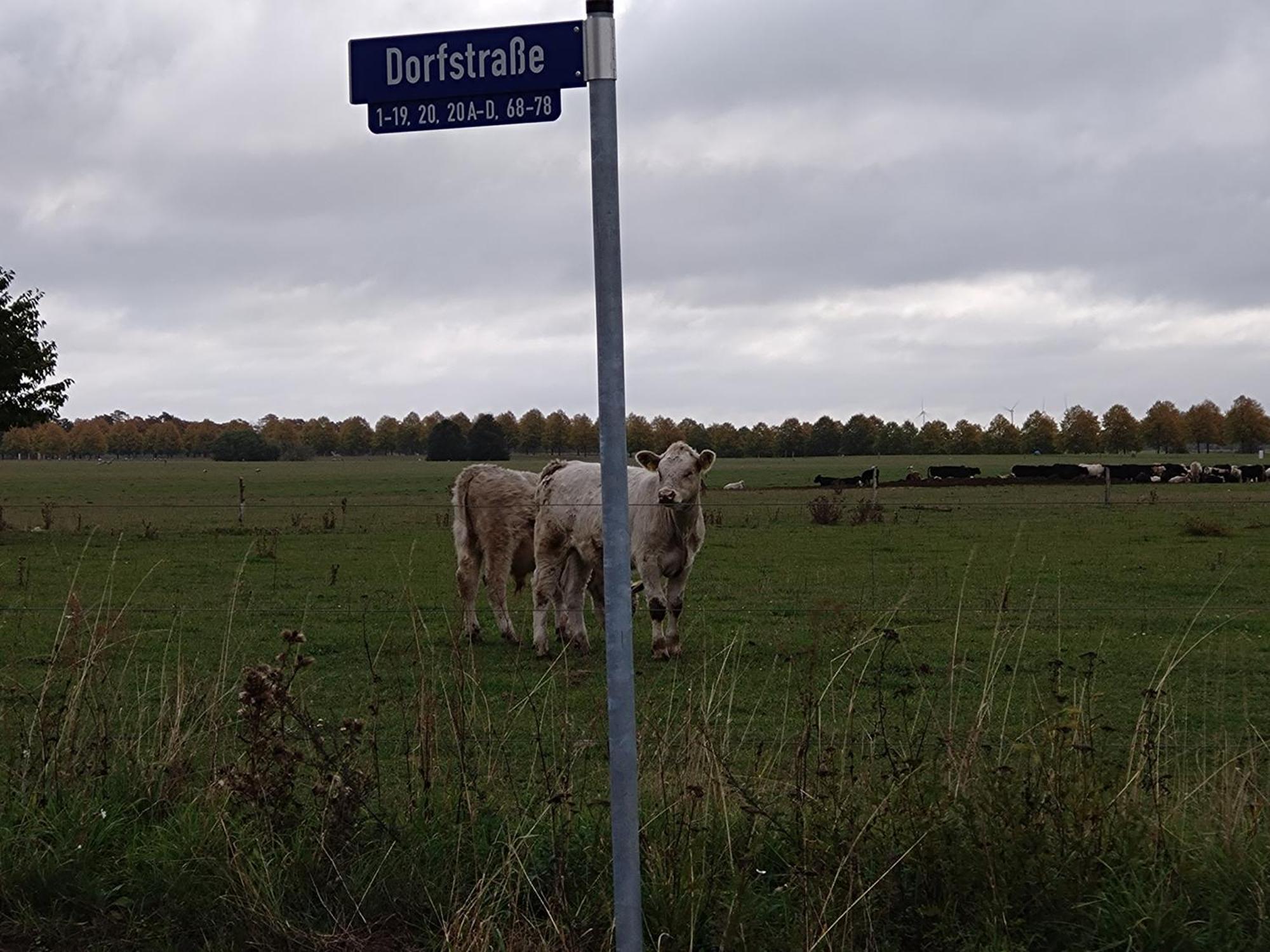 Moderne Barrierefreie Wohnung Auf Dem Land Bei Neuruppin Lichtenberg  Dış mekan fotoğraf